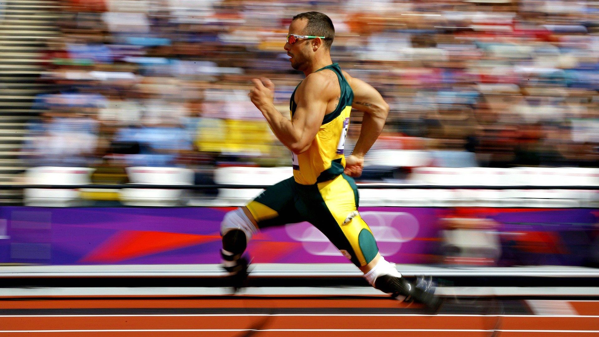 广东队再次夺冠,冲击三连冠!,广东队3连冠